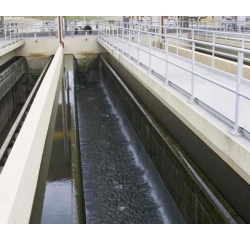 ��������˳�