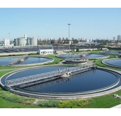 ���Ĵ��������