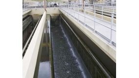 ��������˳�