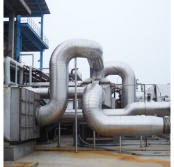 �߻�����ϵ����